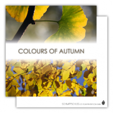 Postkarte | Colours of Autumn